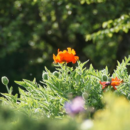 Landgasthof Em Lade Dahlem  Bagian luar foto
