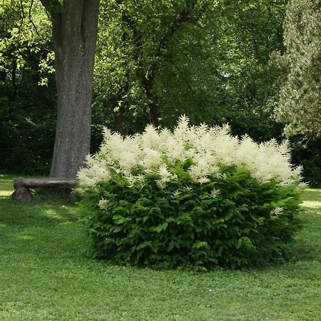 Landgasthof Em Lade Dahlem  Bagian luar foto