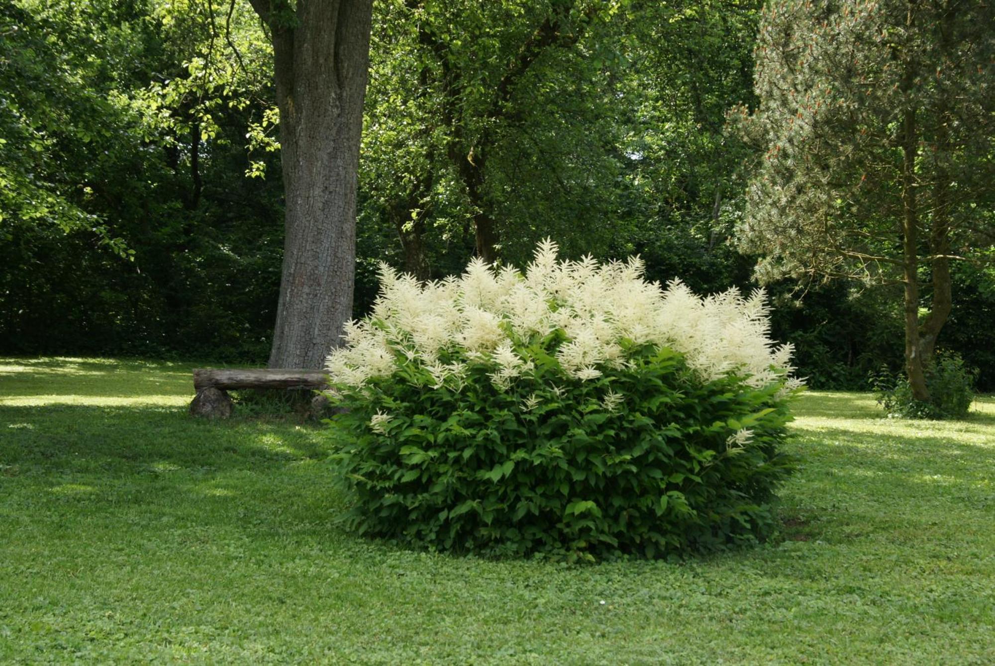 Landgasthof Em Lade Dahlem  Bagian luar foto